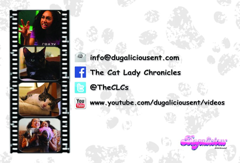 The Cat Lady Chronicles - Promo Card (back)