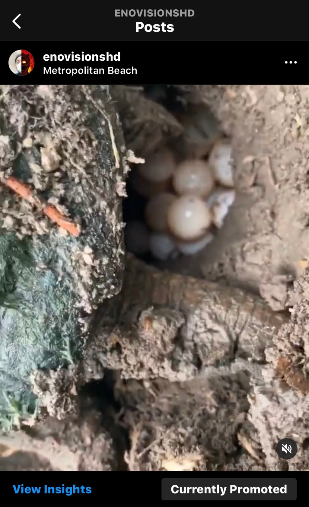 “Walks w/ Brother Meets Mother Nature” #enovisions –&nbsp;(6/10/2020)